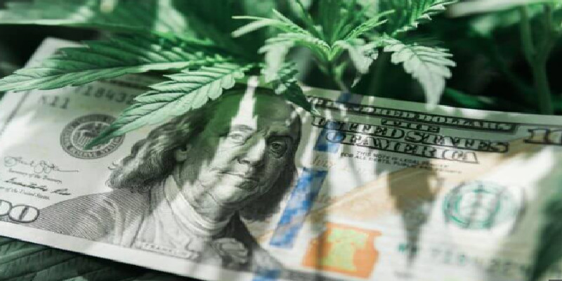 The Cannabis Industry: Is It Worth Your Money?